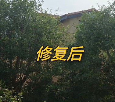 鄭州玻璃燙傷修復(fù)